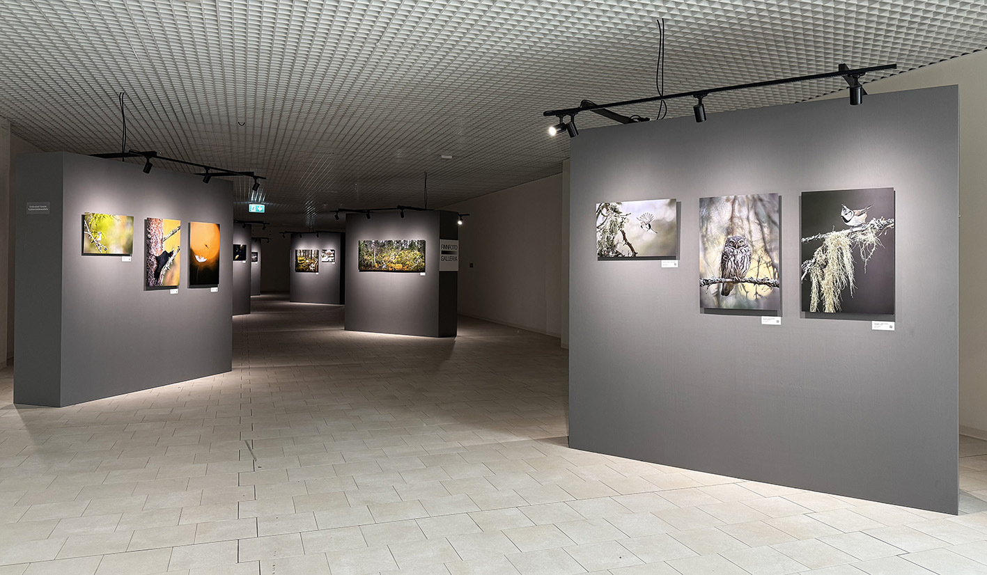 Metsän tuntu -näyttely kauppakeskus Goodmanin Finnfoto-galleriassa
