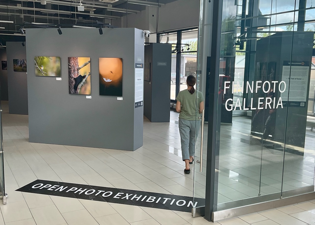 Metsän tuntu -näyttely kauppakeskus kaaren Finnfoto-Galleriassa