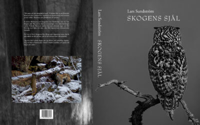 Lars Sundström: Skogens själ•Metsän sielu