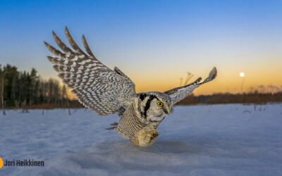 Jari Heikkisen valokuvanäyttely ”Pohjoisen valon alla – Suomen luonnon tapahtumat ja tarinat” esillä Kouvolassa