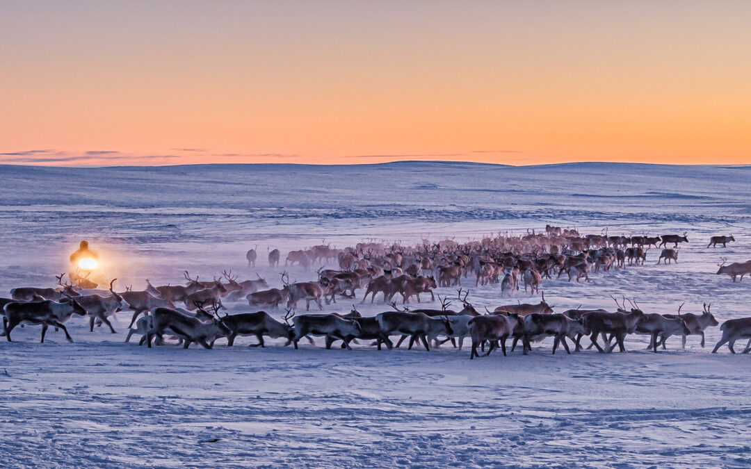 Jyrki Kallio-Kosken valokuvanäyttely Raittijärvi – Kaijukan kylä esillä Oulussa helmikuussa