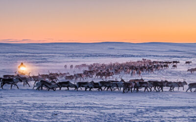 Jyrki Kallio-Kosken valokuvanäyttely Raittijärvi – Kaijukan kylä esillä Oulussa helmikuussa